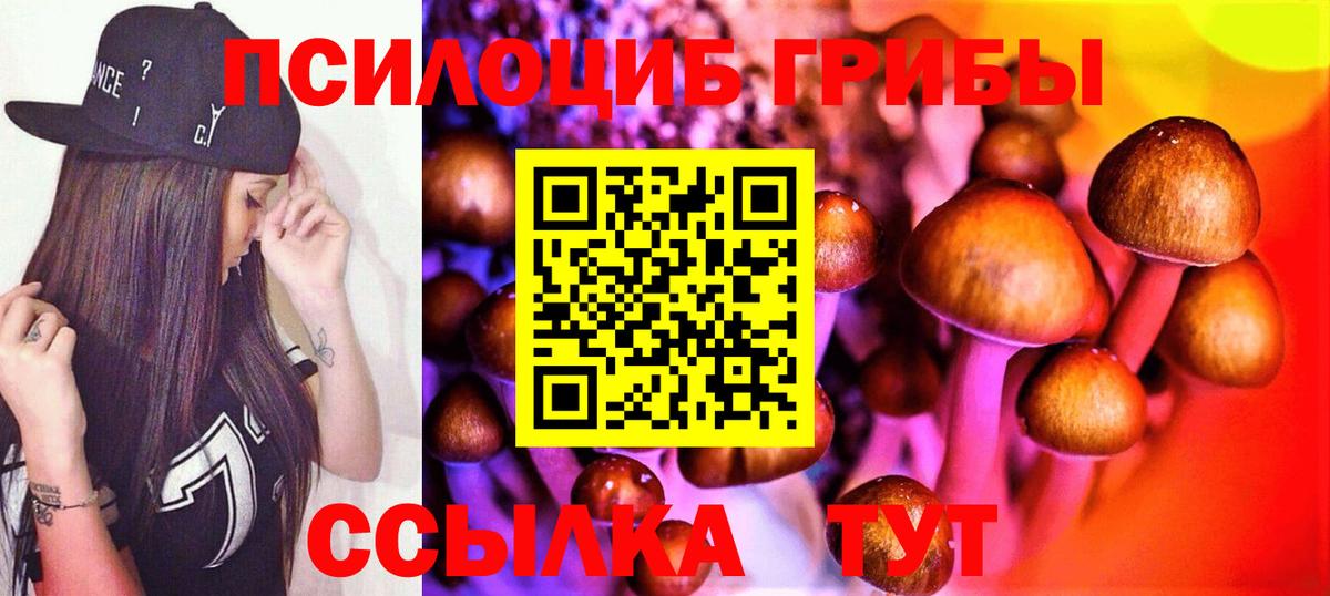 Псилоцибиновые грибы мицелий  Вход с VPN  хочу   Ялуторовск 